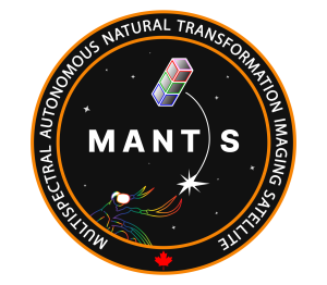 M.A.N.T.I.S. - Patch