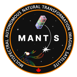 M.A.N.T.I.S. - Patch